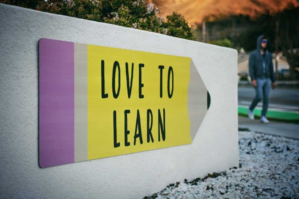 Loving The Learning Process